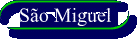 smiguel.gif (1181 bytes)